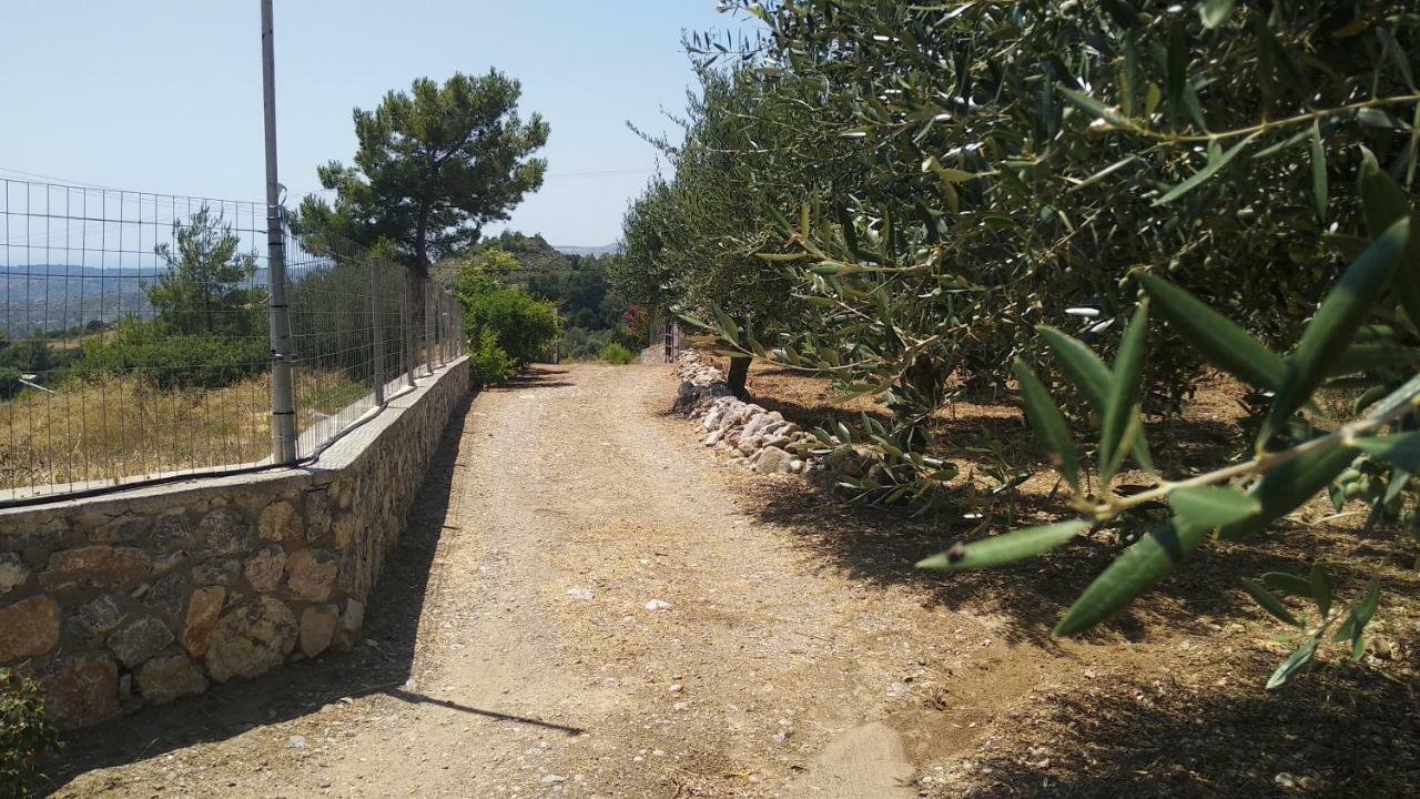 Dora'S House Villa Istrios Eksteriør billede